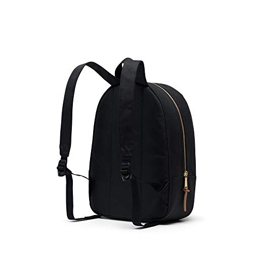https://m.media-amazon.com/images/I/31zaiQqBGiL._SL500_.jpg