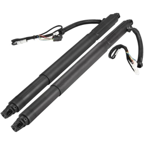 Support levage hayon électrique 51247332697 de qualité supérieure pour coffre arrière X6 E71 E72