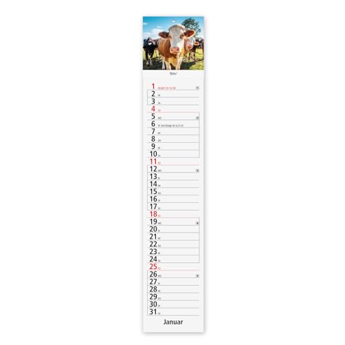 Timr Streifenkalender 2026 lang - Kalender 61 cm - Landschaften Küchenkalender schmal - Kühe lustig I tr413