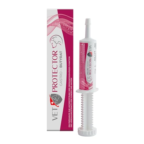Vet Protector - Pasta professionale per arresto della diarrea con butirrato di sodio - Supporta la diarrea - Probiotici Cane - Diarrea Cane - Calma lo stomaco - Supporta il tratto digestivo - 60 ml