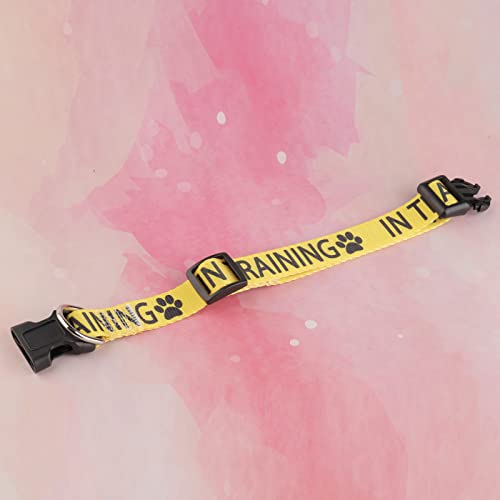 In Training Dog Collar Working Dog Collar Adjustable Pet Collar (In Training Dog Collar) - Image 3