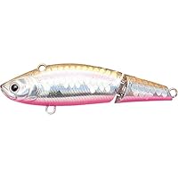 Amazon.co.jp: ラッキークラフト(LUCKY CRAFT)ソルティービーツ70