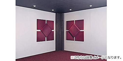 Amazon | AURALEX (オーラレックス) 吸音材 SonoFlat 2″ 14枚 30cm x