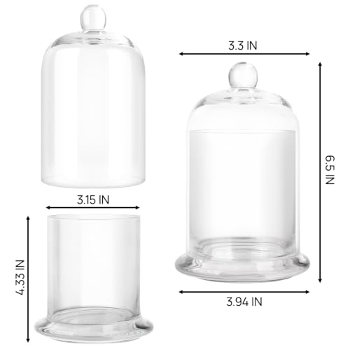 rejomiik-Qtip-Holder-Glass-Apothecary-Jars-with-Lids-Bathroom-Storage-Clear-Cotton-Swab-and-Cotton-Ball-Organizer-for-Bathroom-Essentials-Storage