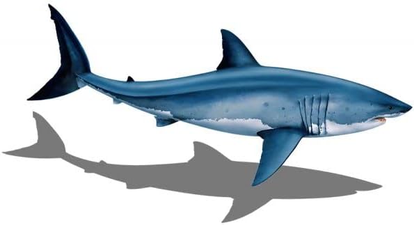 Great White Shark Porcelain Swimming Pool Mosaic (38" x 20" with Shadow)