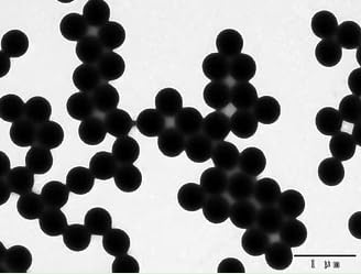 Miniatura 2 de Nanopartículas de sílice coloidal Alpha Nanotech (disponibles de 20 nm a 1000 nm) (400 nm, 10 mgml)