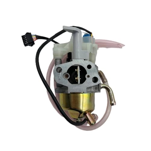 Carburateur pour IX2000 régulation essence stable 005793-0