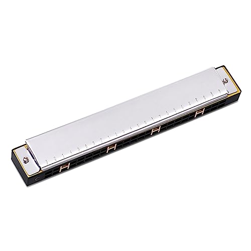 C Harmonica Diatonic_ugS҃n[jJn[hP[Xƕzy2̃IK