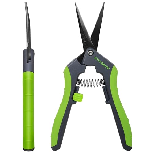 6.5" Pruning Shears for Gardening, Sharp Plant Trimming Scissors for Precise Cuts, Stainless Steel Garden Scissors Bonsai Clippers (2-Pack Curved)