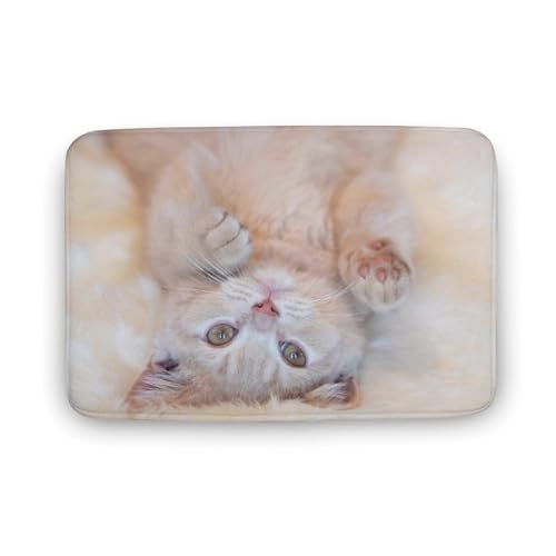 L   oX}bg z/唻 փ}bg  O    ~ Aj LN^[ @}bg   ʏ