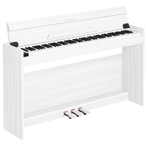 KIMFBAY dqsAm n}[ANV 88 ؐ dqsAm ŊW܂ sAm 88sAm y_t q S MIDIΉ zCg