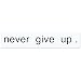 Homar Removable Wall Decals Sticker Art Decoration with Inspiring Quote Never Give Up