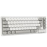 Wired RGB Gaming Membrance Keyboard. 65 Percent Mini Creamy LED Computer Keyboard .Small Ergonomic Clicky Teclado with ABS Backlit Unreplaceable Keycaps. for PC Laptop MAC Gamer. (Gray)