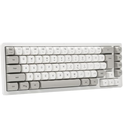 Wired RGB Gaming Membrance Keyboard. 65 Percent Mini Creamy LED Computer Keyboard .Small Ergonomic Clicky Teclado with ABS Backlit Unreplaceable Keycaps. for PC Laptop MAC Gamer. (Gray)