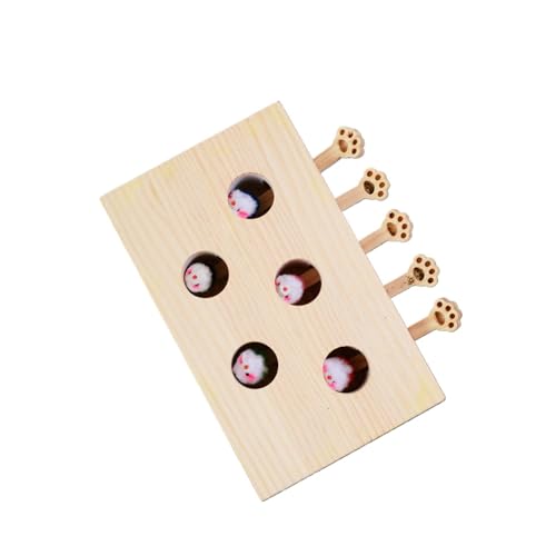 AngodaL O@ ؔV L炵 mߋ ybgObY ގ L   (5,A)