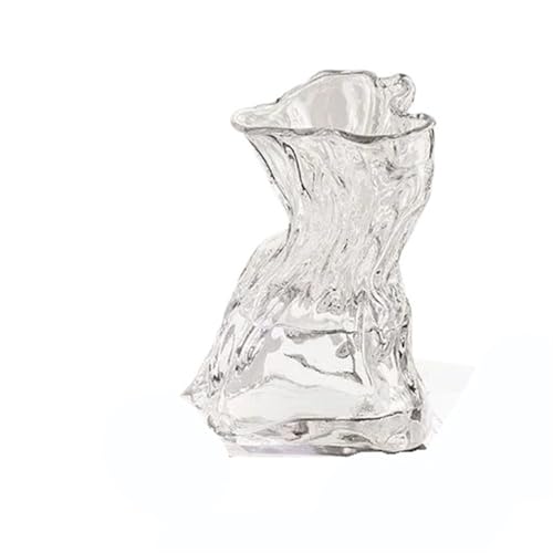 Florero de Cristal Transparente Irregular, 23cm x 9cm, Botella Flores Grande, Maceta hidropónica Mesa, Decoraciones for Sala Estar y hogar para la decoración del hogar