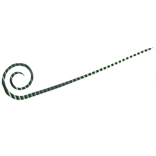 nuT(Hayabusa) SE164 o^ t[XCh JX^VRlN^C XpCJ[[X #7 O[O[[u