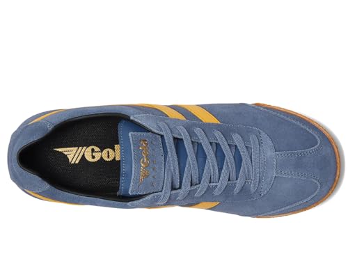 Image of Gola Harrier