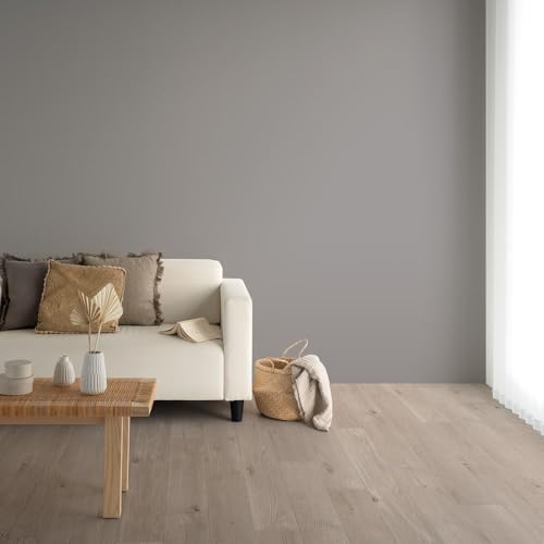 ǎ{ ̂t ǎ c̏ NX n Y25-2943 Ojbg O[ 92cm×mPʁy󒍐YiLZsz