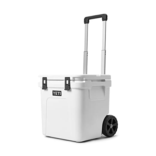 31zdAD-mUtL._SS520_ Best yeti roadie wheels