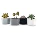 T4U 2.75 Inch Ceramic Six Sizes Semi Luster Surface Succulent Plant Pot/Cactus Plant Pot Flower Pot/Container/Planter Full Colors Package 1 Pack of 4