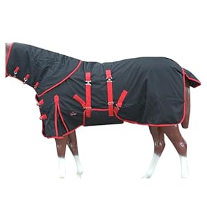 Black with Red Trims 75 in HILASON 1200D Waterproof Winter Horse Blanket Neck Cover Belly Wrap | Horse Blanket | Horse