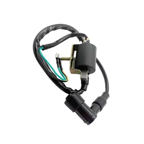 Bobina de encendido para karts de 125 cc y rutas en moto de campo 1