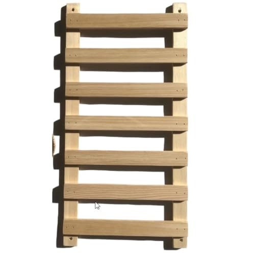 AOPIPI L̓o蕨 ͂̂ ݂苴 [vt ؂̓o蕨 w gp\AlR̗VpiAƒpybgAlRJtFp (50cm)