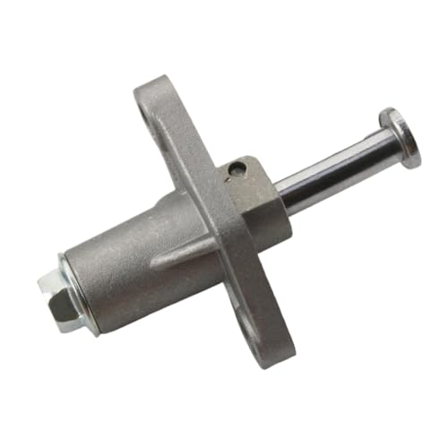 Tensor de cadena de distribucion con ajuste automatico para GTS250 6