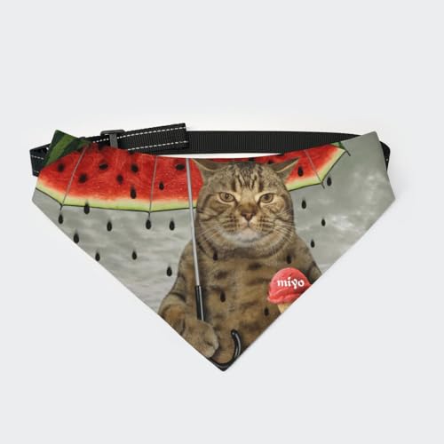 [§miyo] ybgp o_i Lp ֕t OpXJ[t ߉\ HGv y _炩 U av[g lRL (15)