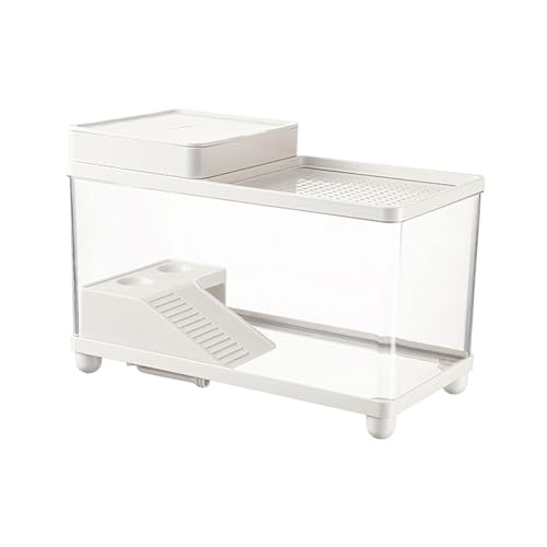 STARTIST ^J eE LXƂvȃJ̐n JG qEK ঒ނ̐n, 