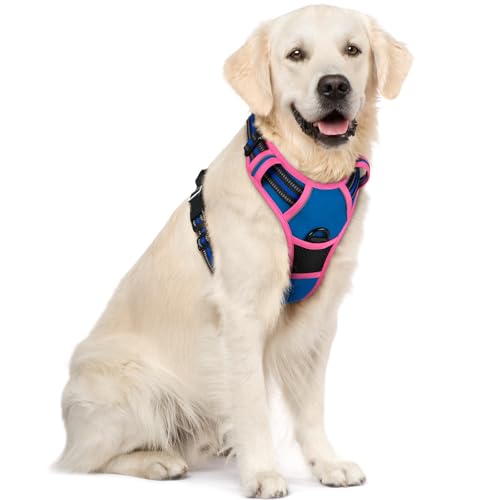 Image of rabbitgoo Dog Harness No Pull with 2 Leash Clips, Adjustable Soft Padded, Reflective Oxford No Choke Pet Vest with Easy Control Handle for Large Dogs, Blue & Hot Pink, XL
