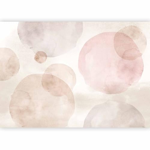 murando Carta da parati Astrazione 350x256 cm Fotomurali in TNT Murale alla moda Decorazione da Muro XXL Poster Gigante Design Carta per pareti Motivi Geometrici Cerchi Colori pastello a-A-10251-a-a