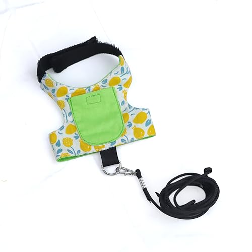 Image of Bearded Dragon Tracker - GPS Monitor Collar and Harness with Air Tag Pouch for Reptiles