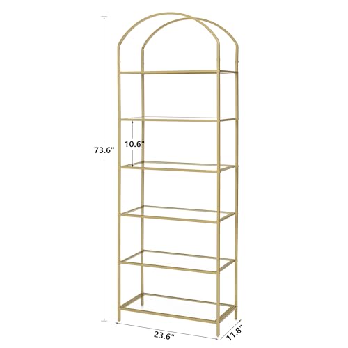 Homhedy BC16G 6-Tier Bookshelf Arched Display Racks, Metal Bookcase, Tempered Glass Shelves thumb #1