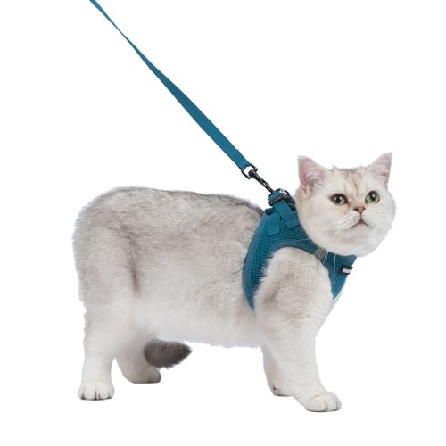 Image of Voyager Step-in Pet Harness - All Weather Mesh, Adjustable Step in Harness for Cats and Dogs by Best Pet Supplies - 307S Turquoise, XXS