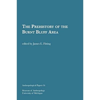 The Prehistory of the Burnt Bluff Area