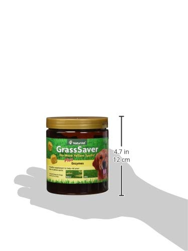 Miniatura 3 de 120 unidadesfrasco de masticables suaves con enzimas para perros Count Grass Saver, NaturVet , 120