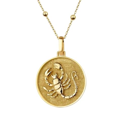 Collar Escorpio de plata ley 925 antialérgico que no se oscurece