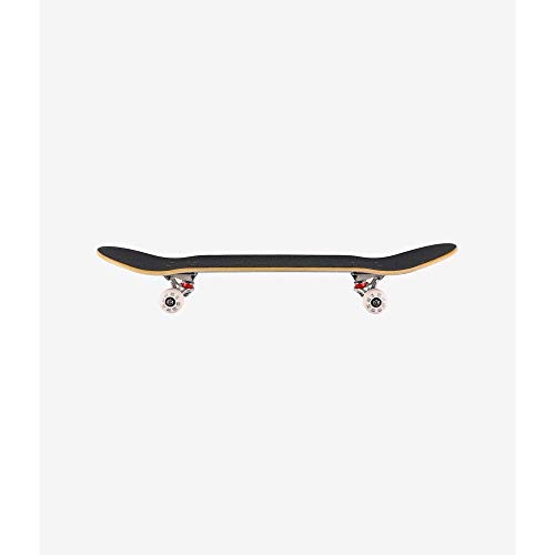 Plan B Team Shine Factory Compleet Skateboard 8" - Afbeelding 4