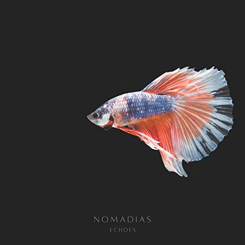 Nomadias