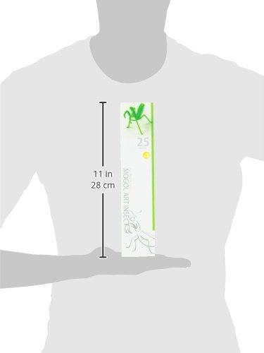 Amazon.co.jp: 創&遊 モールアートインセクト カマキリ MK-500-25