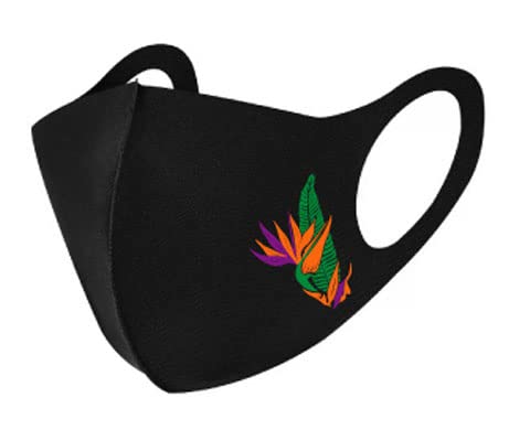 [PCYR[|[V] IWivg nCA N[ }XN RȏwłP肪333~ JԂg 􂦂 nC t t_X |Cg vg (J[FubN fUCFo[hIup_CX)