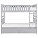 Lexicon Orion Transitional Wood Full Over Full Bunk Bed with Storage Box in Gray