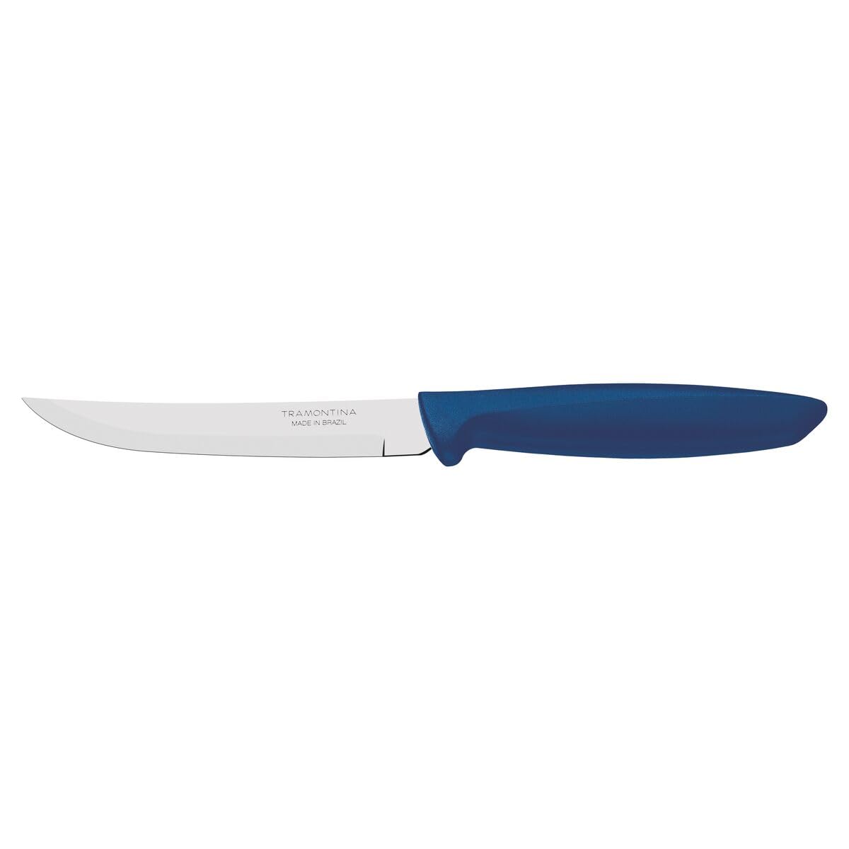 Plenus 5 Inches Fruit Knife with Stainless Steel Blade and Blue Polypropylene Handle