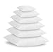 Textilhome - 2 Coussins a recouvrir de Garnissage en Fibre creure - 100% Polyester - Blanc - Dimension 50x70 cm.