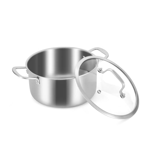 MOUTIUS Olla de 5 cuartos con tapa, acero inoxidable para altas temperaturas, olla para cocinar a fuego lento, fondo de tres capas, tapa de vidrio transparente, asas dobles, apta para lavavajillas