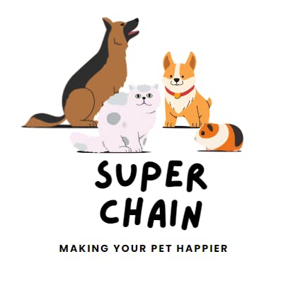 Image of Nylon Collar Combo with Heavy Dog Chain, 63 Inch (Medium, Red)