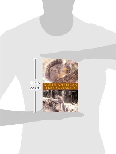 North American Tree Squirrels - Image 2