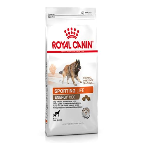 Royal Canin Hundefutter Sport Life Trail 15 kg, 1er Pack (1 x 15 kg)